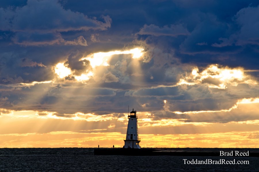 Follow the Light