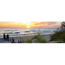 Evening Grace - Panoramic