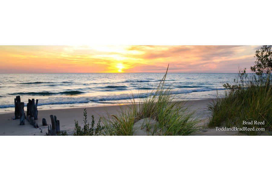 Evening Grace - Panoramic