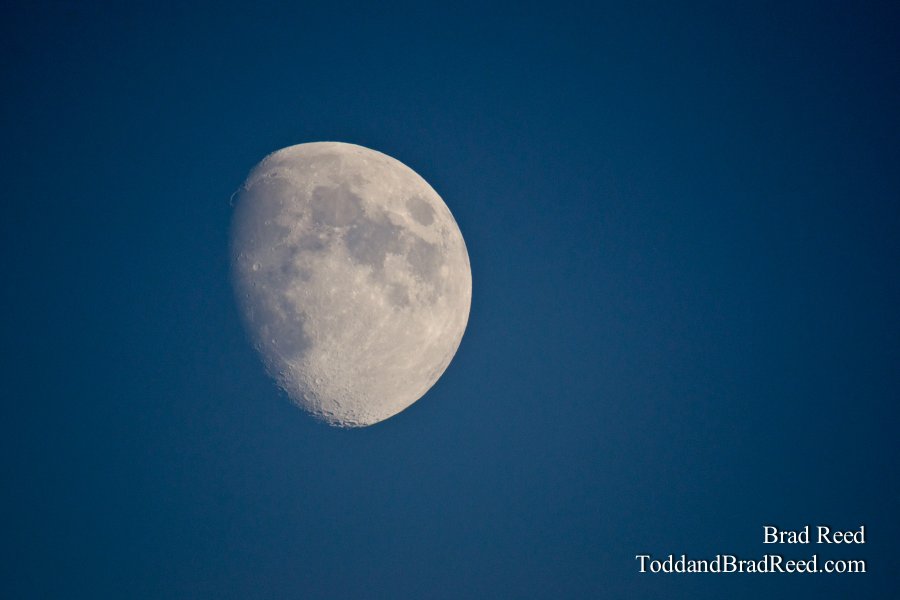 Moon Glow