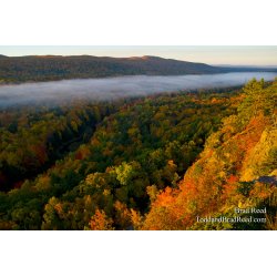 Gods Colorful Creation