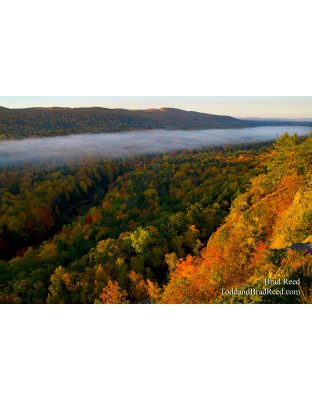 Gods Colorful Creation