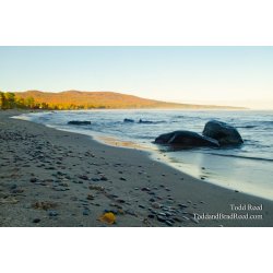 Porcupine Shoreline