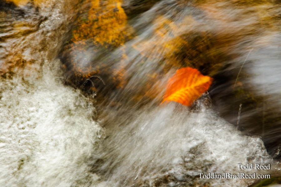 Rapids Ride