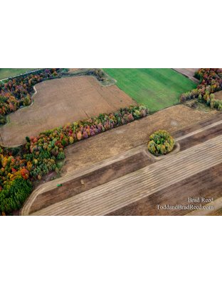 The Romance of Farming