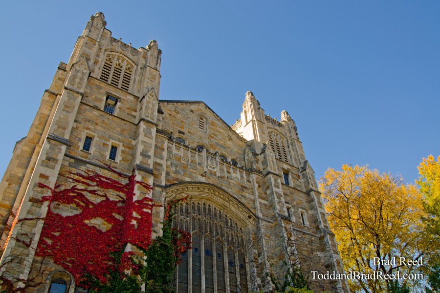 U of M Law School