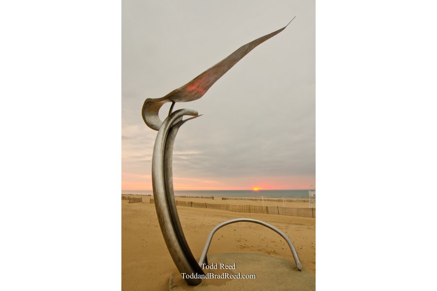 Sunset Catcher