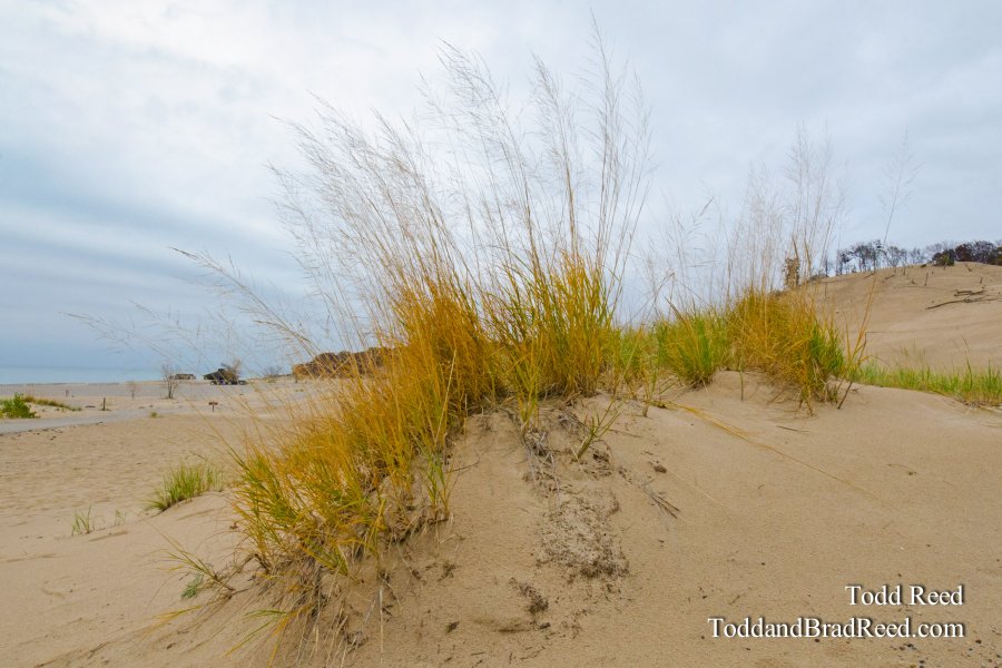 Warren Dunes