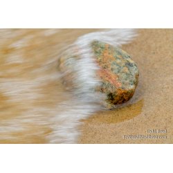 Washed Ashore
