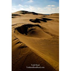 Sculpted Dunes