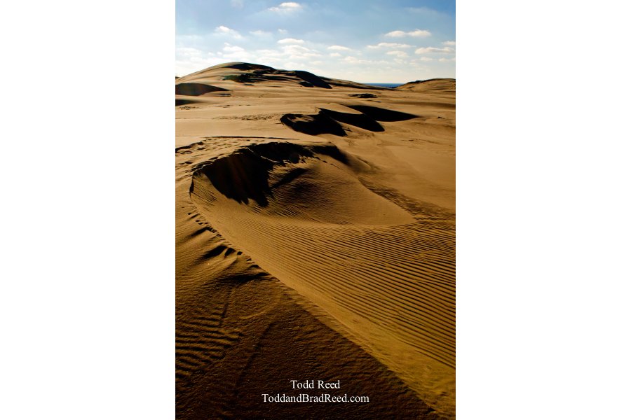 Sculpted Dunes