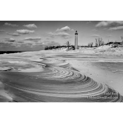 Silver Lake Swirl - black and white
