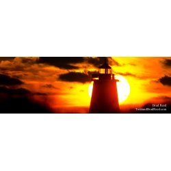 Intense Light - Panoramic
