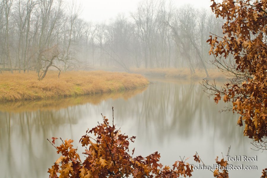 Dreamy River