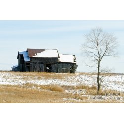 Boon Barn
