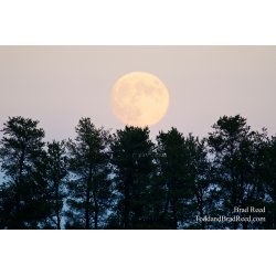 Moon Over Mesick
