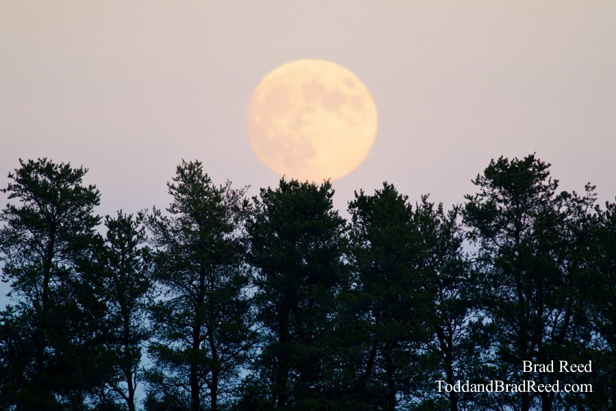 Moon Over Mesick