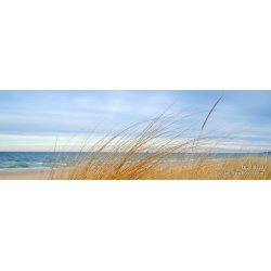 Turquoise Morning - Panoramic