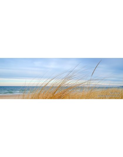 Turquoise Morning - Panoramic