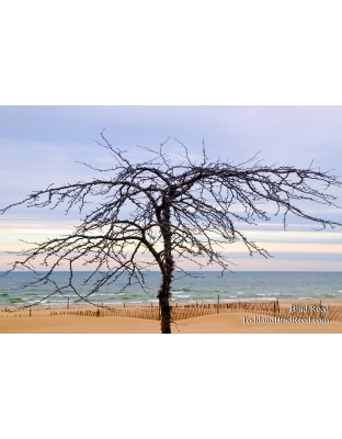 Charles Mears State Park