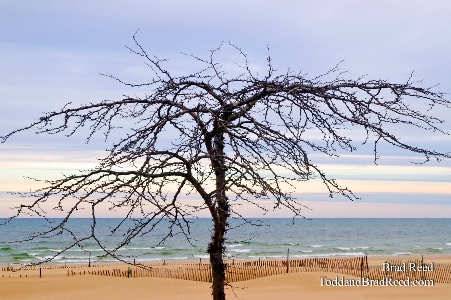 Charles Mears State Park