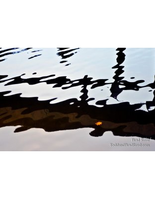 Floating Into Winter