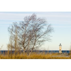 Wispy Waterfront
