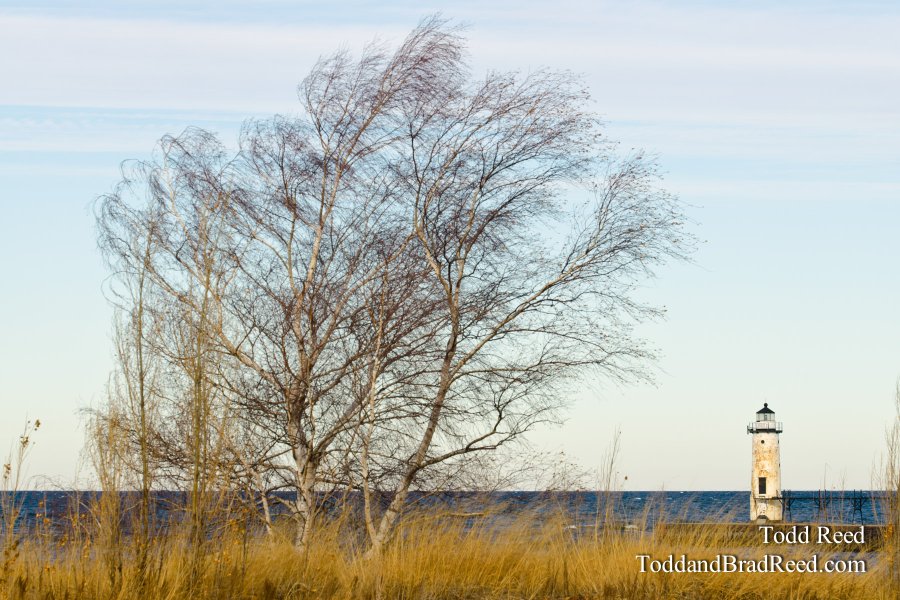 Wispy Waterfront