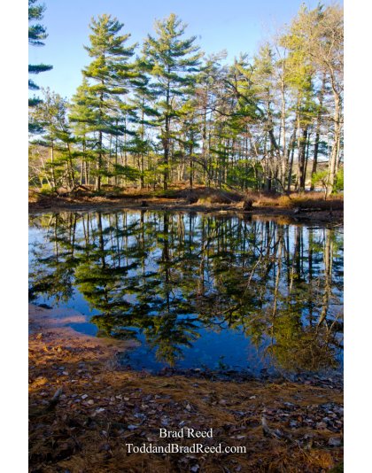 Island Trail Reflections