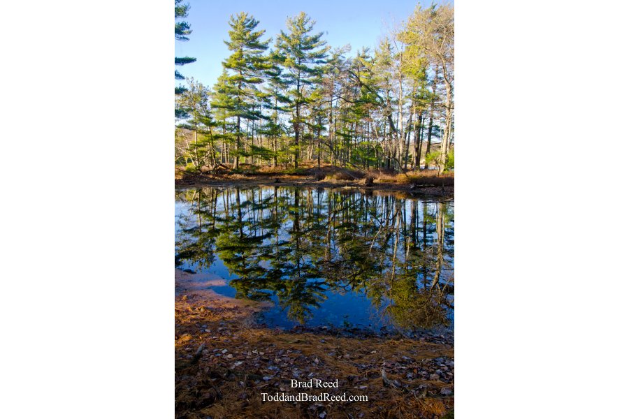 Island Trail Reflections