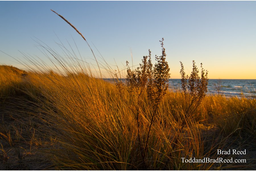 Golden Hour