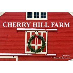 Cherry Christmas