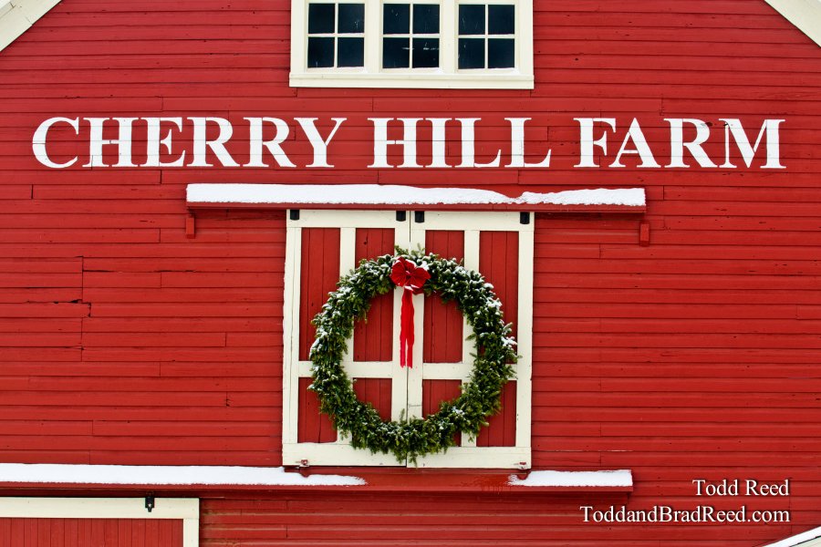 Cherry Christmas