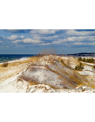 Dunetop Vantage Point