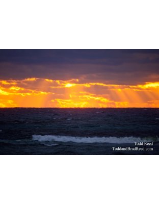 Flair of the Dramatic