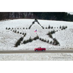 American Pride