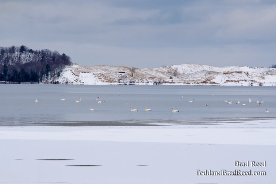 Christmas Day on Hamlin
