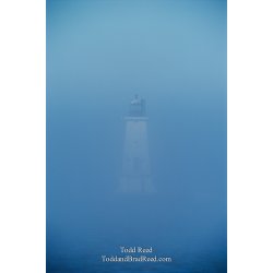 Blue Fog Light