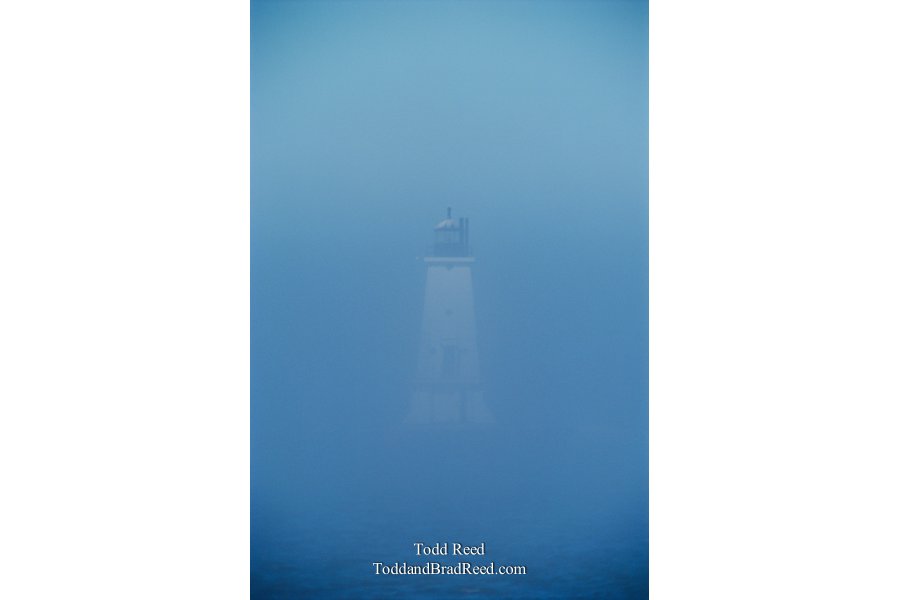 Blue Fog Light