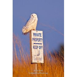 Keep Off