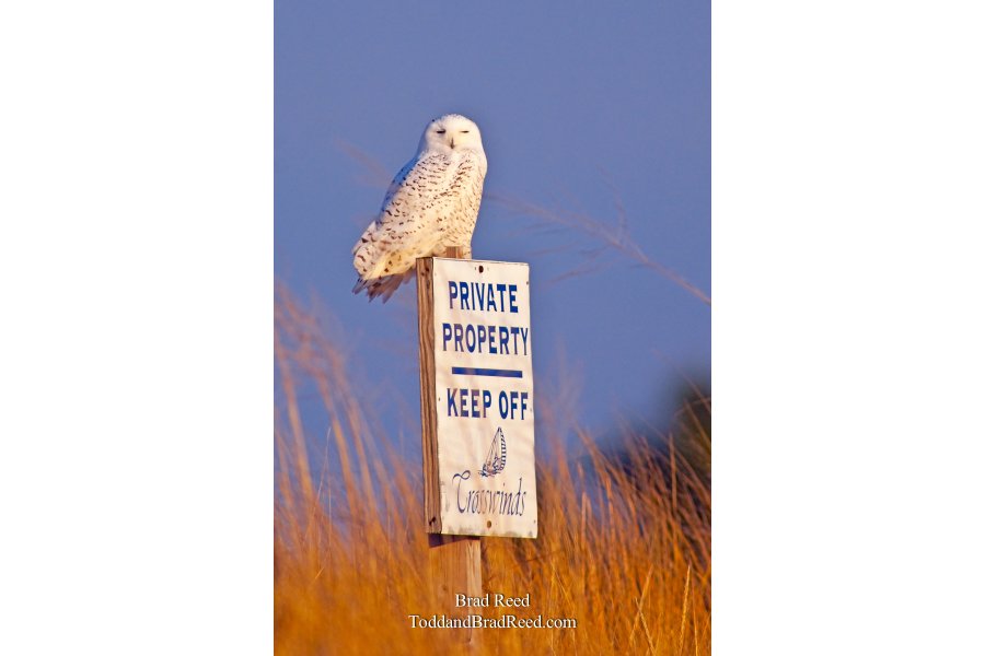 Keep Off