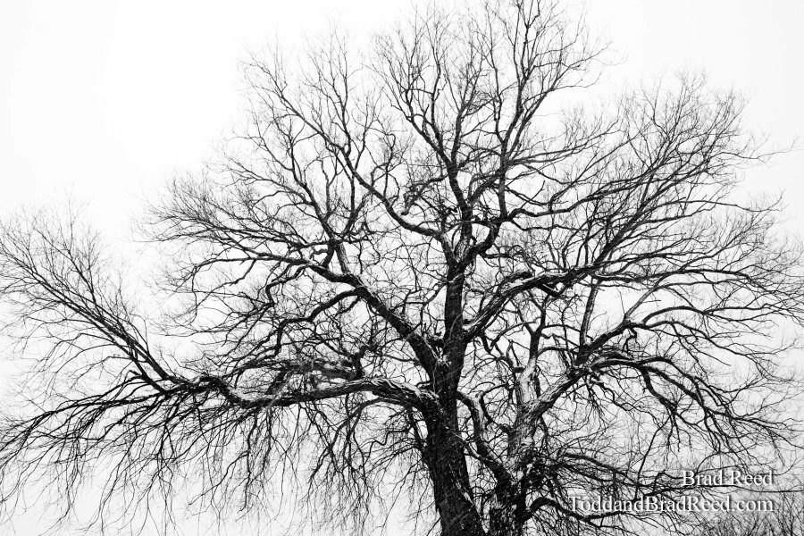 365 Week (0214)