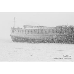 PM 41 Barge (0255)