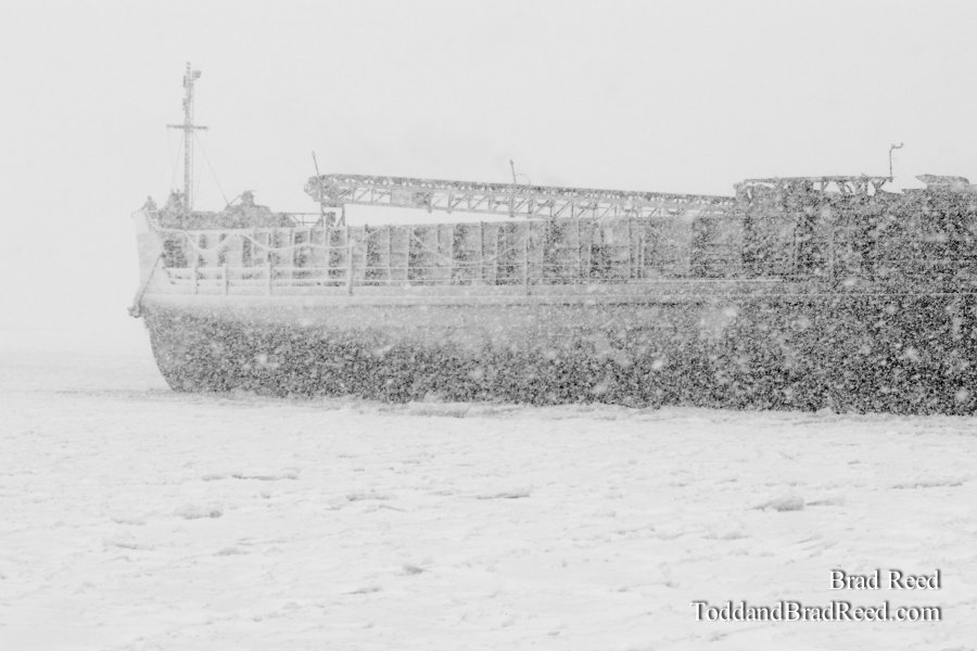 PM 41 Barge (0255)