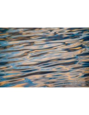 Workshop at Ludington State Park (0504)