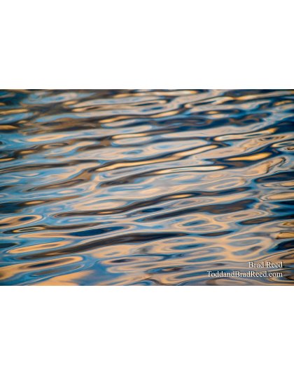 Workshop at Ludington State Park (0504)