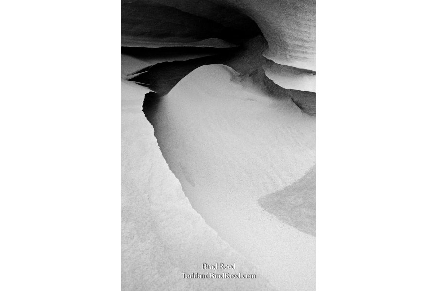 Tuesdays With Todd and Brad Reed (0580)
