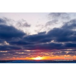 365 Week 05 (0698)