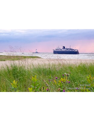 Badger Going Out in Storm (0808)