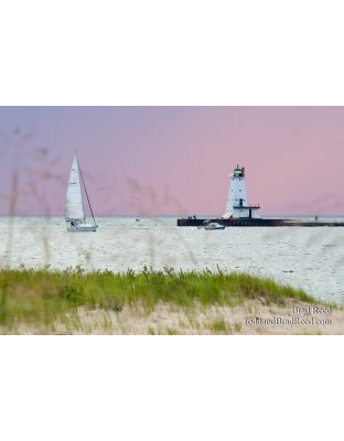 Badger Going Out in Storm (0813)